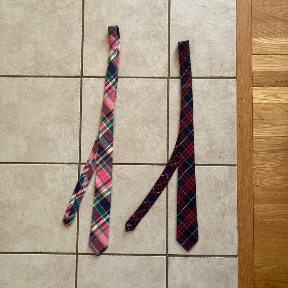 2 Cotton Dress Ties - J Crew & American Apparel